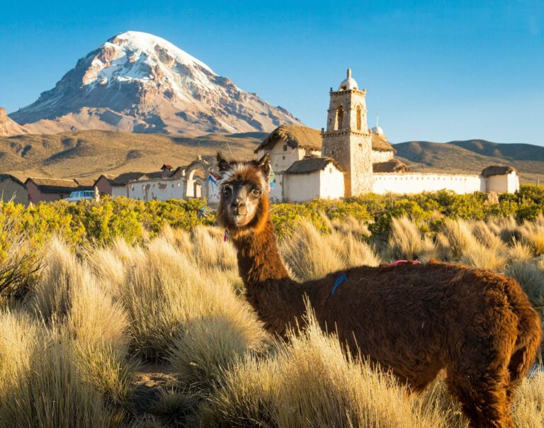 bolivia bg