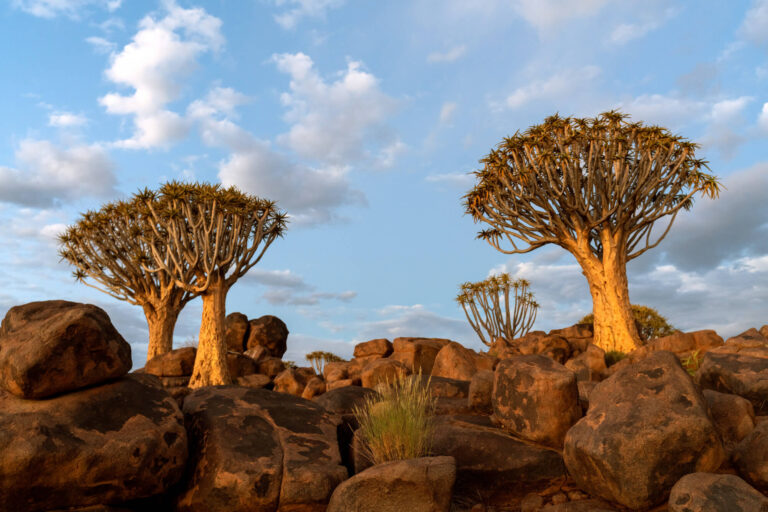 east africa
