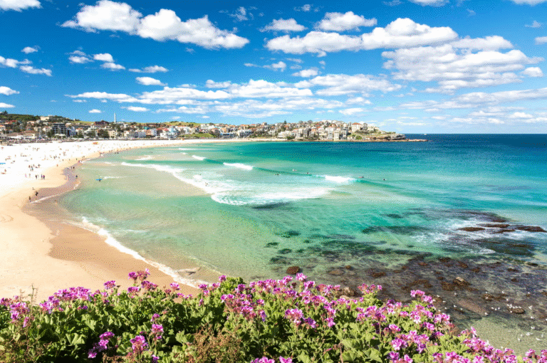 Bondi Beach with clear blue water and flowers