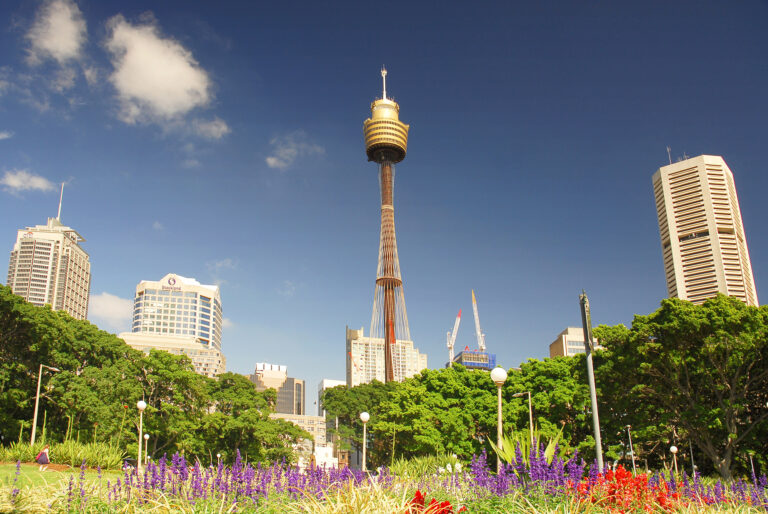 Sydney Tower Eye and skyscrapers viewed from Hyde Park
