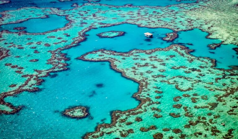 Aerial view of the Great Barrier Reef.