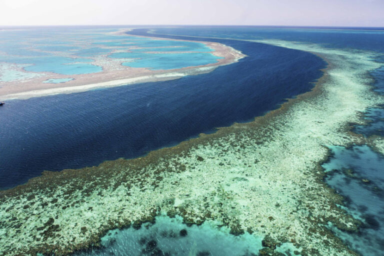 Aerial view of the Great Barrier Reef in Australia.