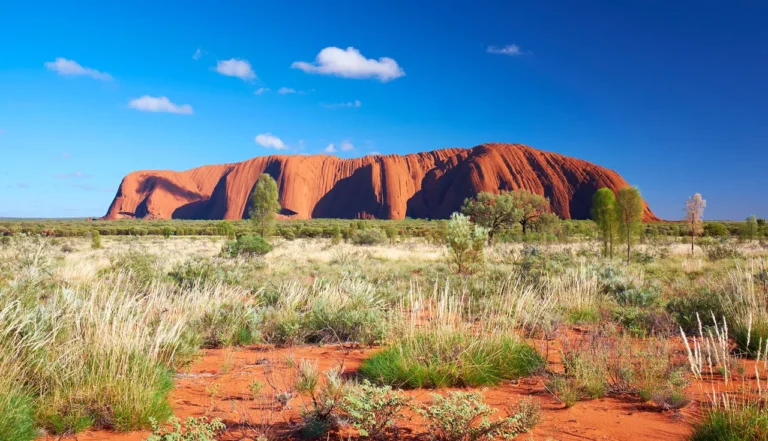 Uluru with surrounding vegetation in Australia