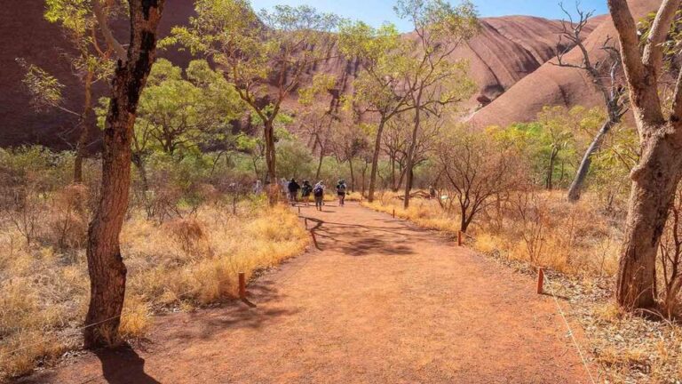 Scenic trail at Uluru with hikers