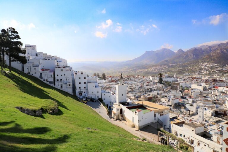 Whitewashed buildings of Tetouan with Rif Mountains