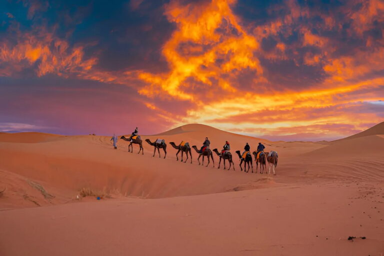 Camel caravan at sunset in Sahara Desert