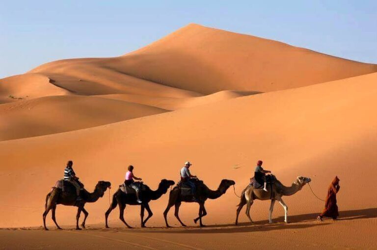 Tourists riding camels in the Sahara Desert.