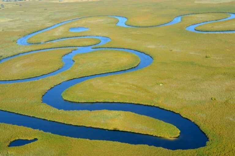 Aerial view of winding river through Okavango Delta wetlands