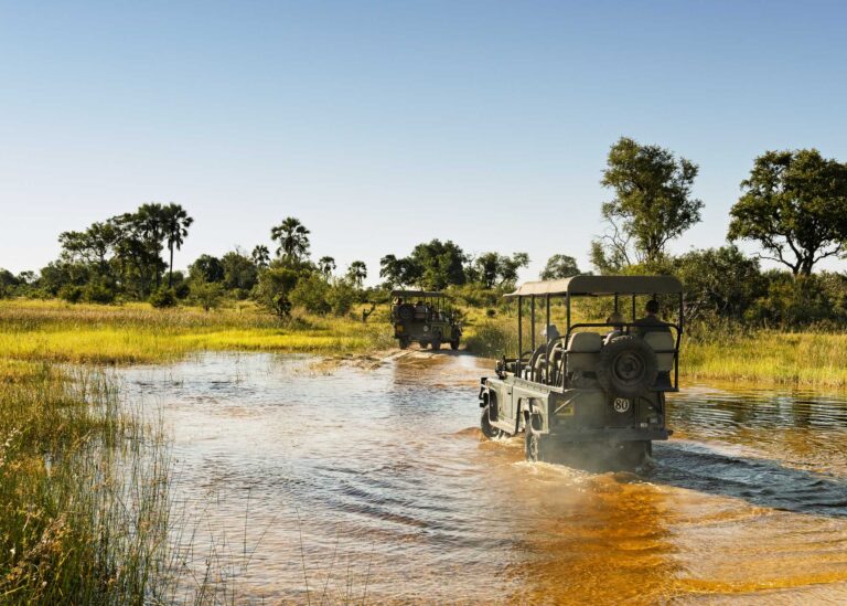 Safari jeeps driving through water in South African wildlife reserve