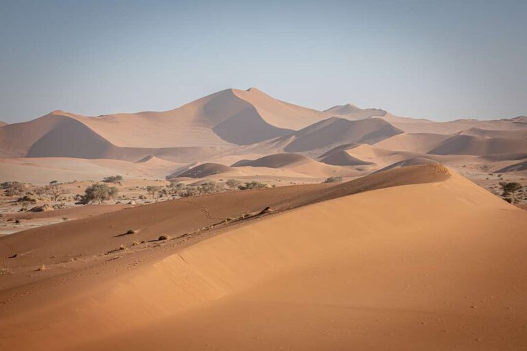 Sand dunes in the Namib Desert, Namibia