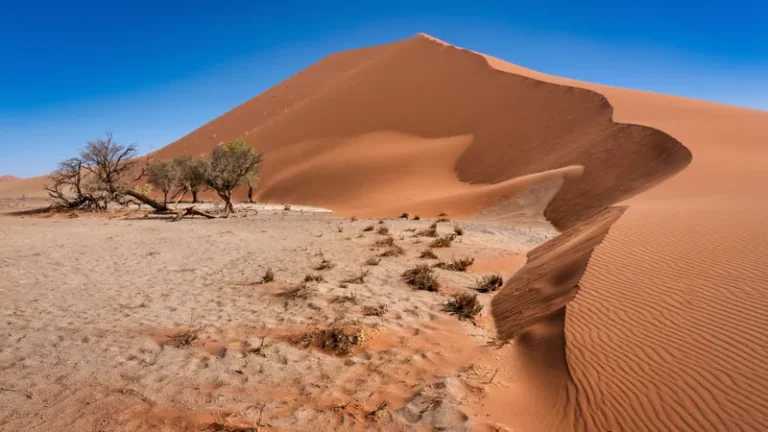 Sand dunes in Sossusvlei, Namibia