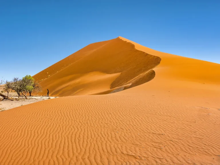 Sand dune in Sossusvlei, Namibia
