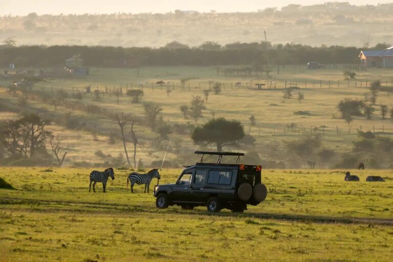 Safari vehicle and zebras in Kenyan savanna