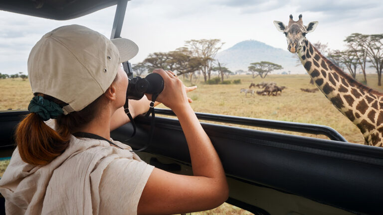 A traveler observes a giraffe during a Nairobi safari.