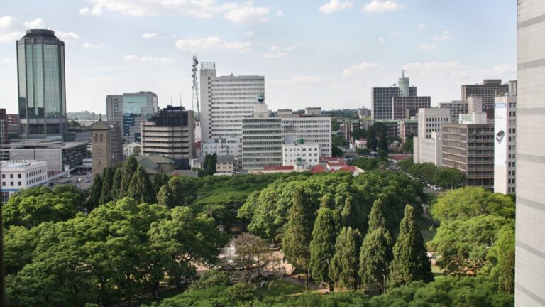 Harare city skyline with urban park