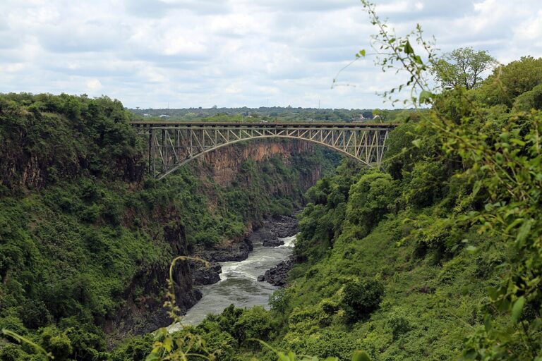 Victoria Falls Bridge spanning a lush green gorge.