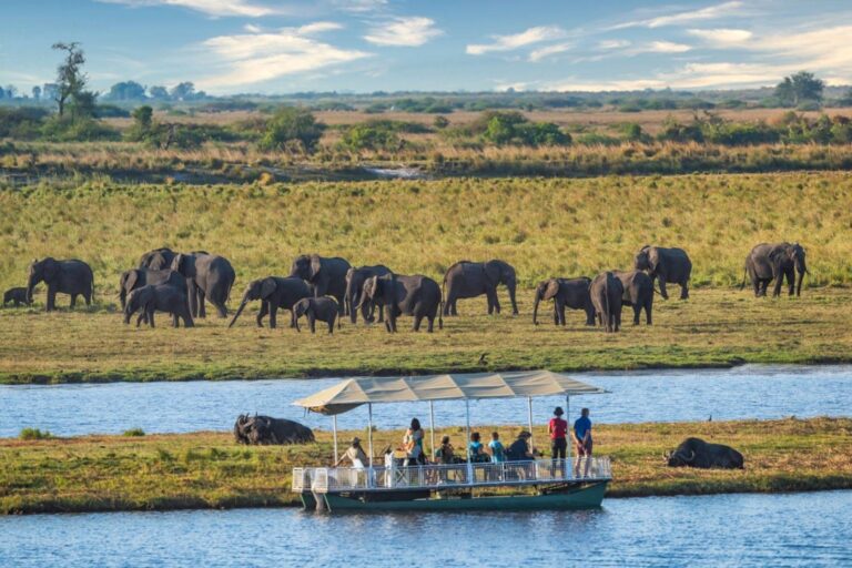 Tourists on a boat viewing elephants in Chobe National Park.