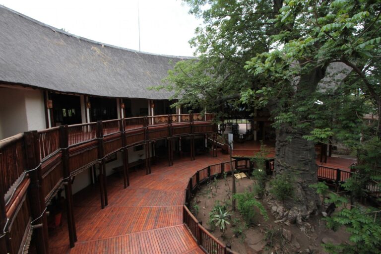 Interior courtyard of Mowana Hotel with wooden architecture and lush greenery.