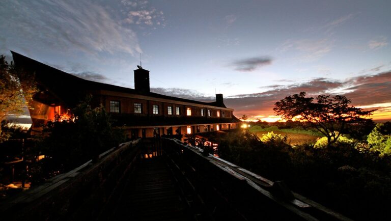 Treetop Ark Hotel at sunset with surrounding nature.