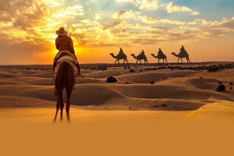 Camel ride at sunset in the UAE desert.