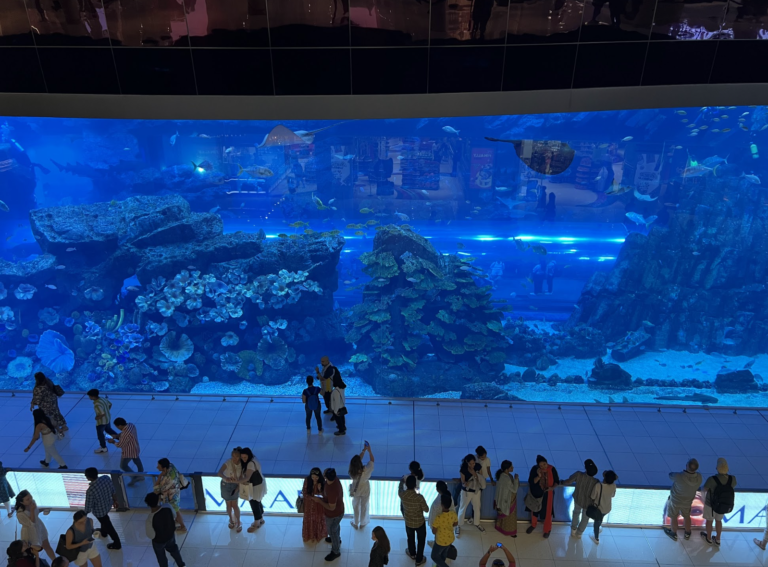 Visitors observing the large aquarium at Atlantis The Palm Dubai