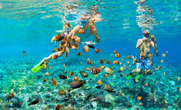 Snorkelers exploring vibrant coral reef in the Maldives.
