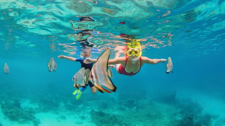 Snorkelers swimming with tropical fish in Maldives.