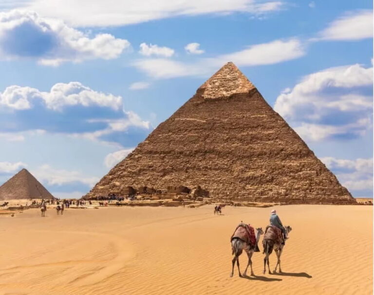 Camels in front of the Pyramids of Giza