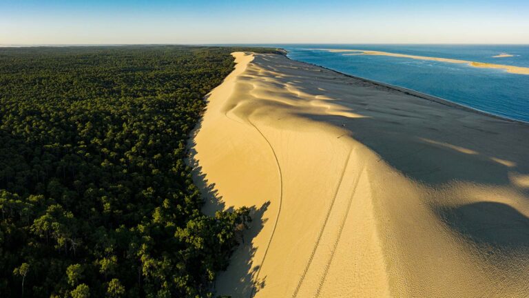 Aerial view of Dune of Pilat with forest and coastline