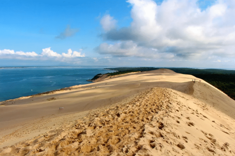 View from Dune of Pilat overlooking Arcachon Bay.