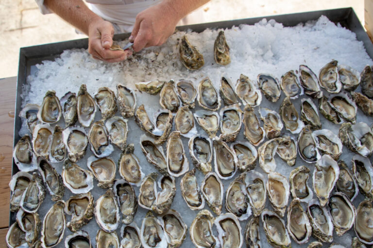 Freshly shucked Arcachon Bay oysters on ice