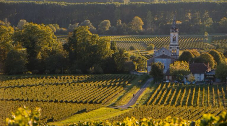 Vineyard and church in Saint-Émilion, France