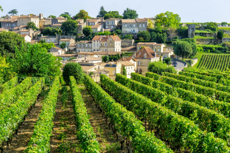 Scenic view of vineyards in Saint-Émilion, France