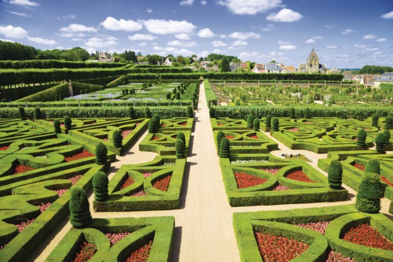 Formal gardens at Château de Villandry in France.