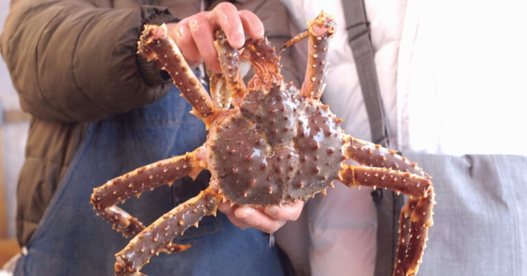 Person holding a large king crab in the Arctic.