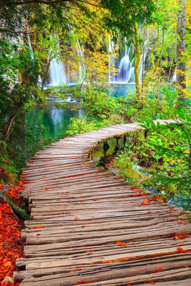 Wooden path through autumn forest in Plitvice Lakes National Park