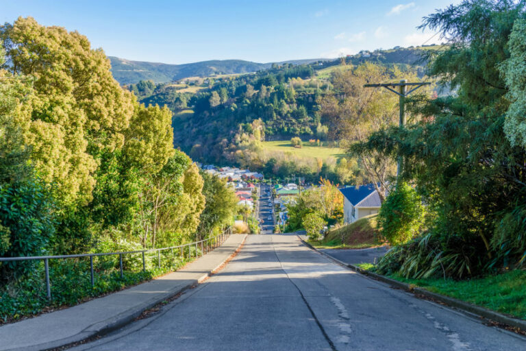 Dunedin's Baldwin Street in New Zealand