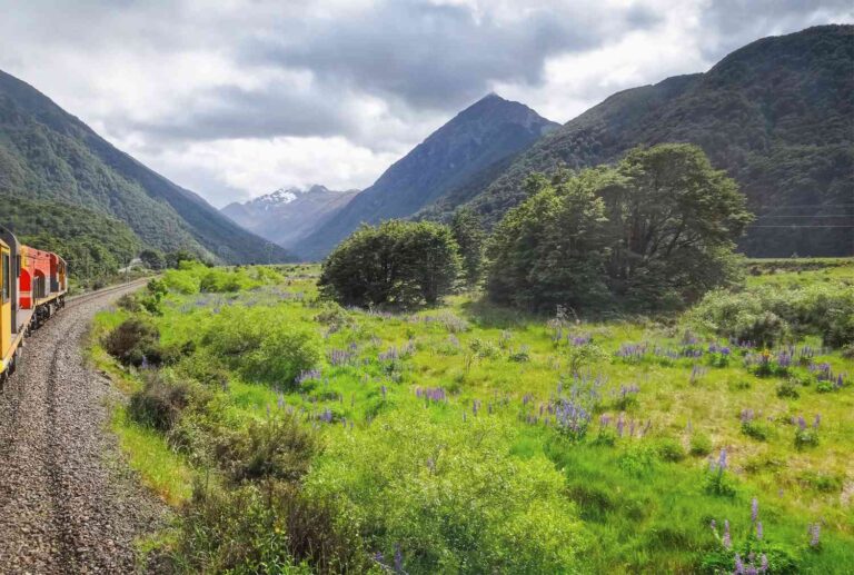 Tranz Alpine Train in New Zealand Day 6