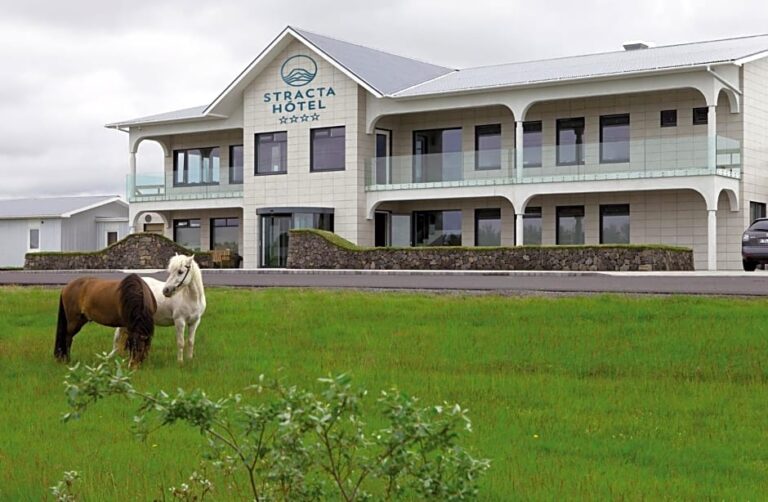Stracta Hotel in Iceland with horses grazing nearby
