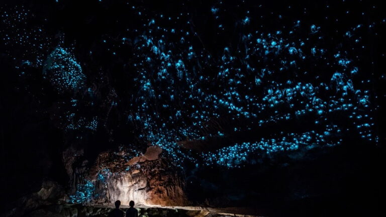 Glow worm cave in New Zealand