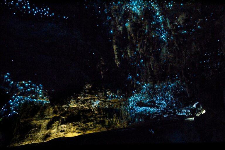 Glow worm cave in New Zealand
