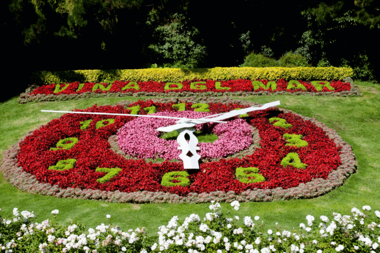 Flower Clock in Viña del Mar, Chile