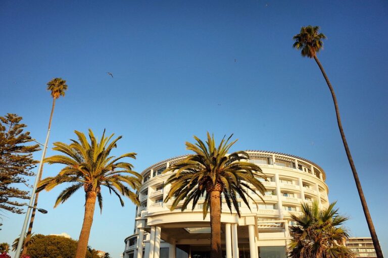 Palm trees in front of Viña del Mar Casino, Chile