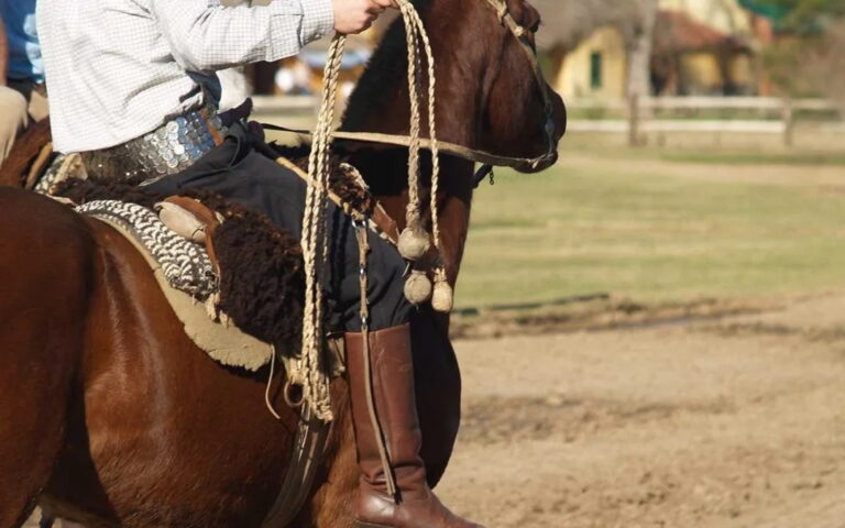 Gaucho riding a horse in traditional clothing