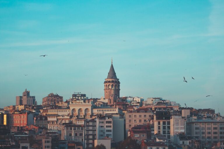 Galata Tower in Istanbul cityscape with birds flying