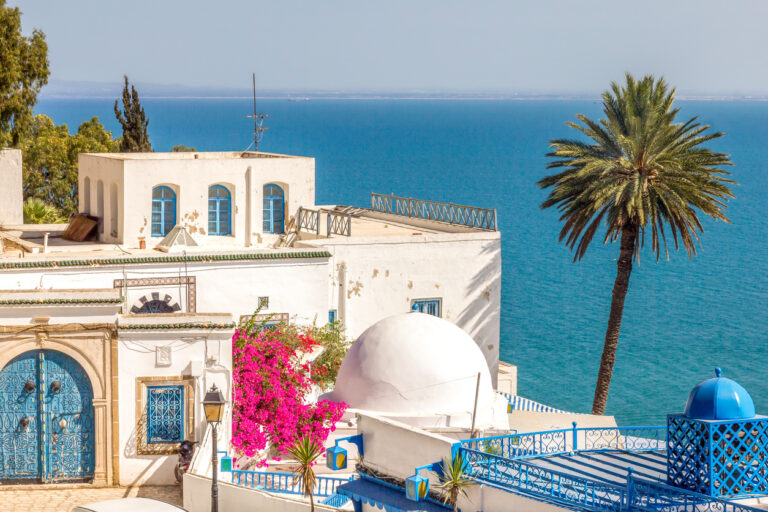 Scenic view of Sidi Bou Said with blue and white architecture and sea.