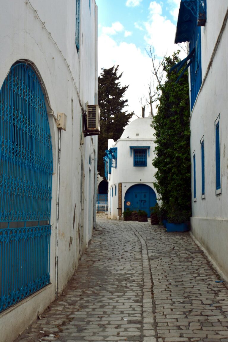White and blue alley in Sidi Bou Said