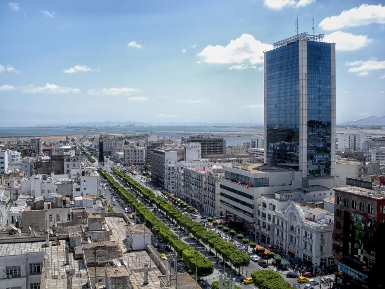 Aerial view of Tunis cityscape with high-rise buildings